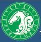内蒙古美术职业学院-logo