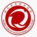 湖北青年职业学院-logo