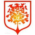 贵州盛华职业学院-logo