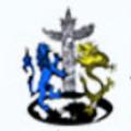 广西英华国际职业学院-logo