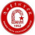 陕西青年职业学院-logo