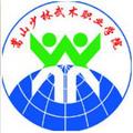 嵩山少林武术职业学院-logo