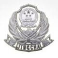 安徽警官职业学院-logo