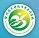 徐州幼儿师范高等专科学校-logo