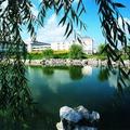 浙江中医药大学滨江学院-logo