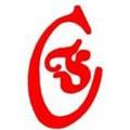 青岛飞洋职业技术学院-logo