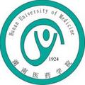 湖南医药学院-logo